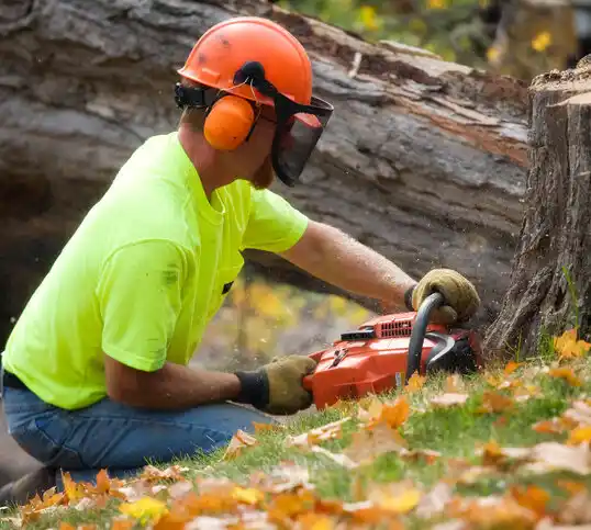 tree services Shuqualak